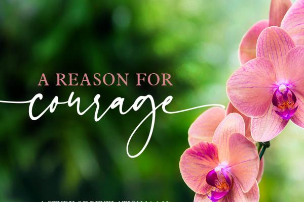 A Reason for Courage - 7 Part Bible Study Series